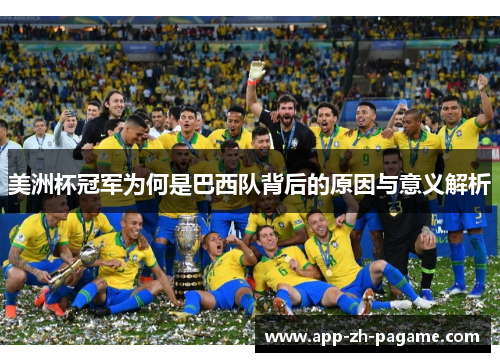 美洲杯冠军为何是巴西队背后的原因与意义解析
