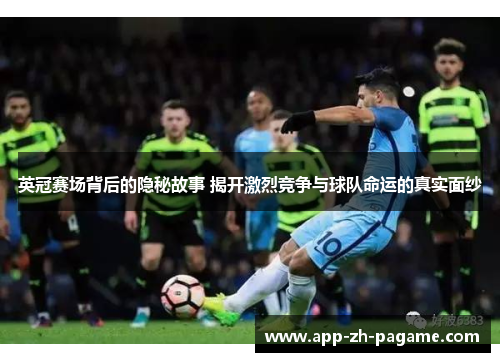 英冠赛场背后的隐秘故事 揭开激烈竞争与球队命运的真实面纱