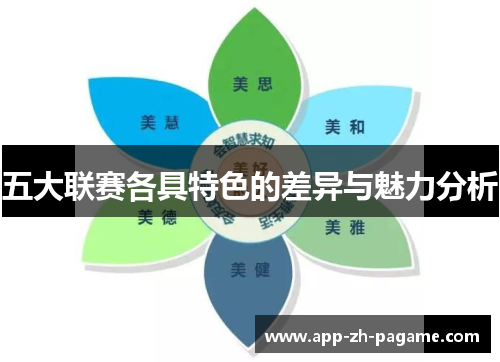 五大联赛各具特色的差异与魅力分析