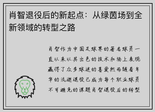 肖智退役后的新起点：从绿茵场到全新领域的转型之路