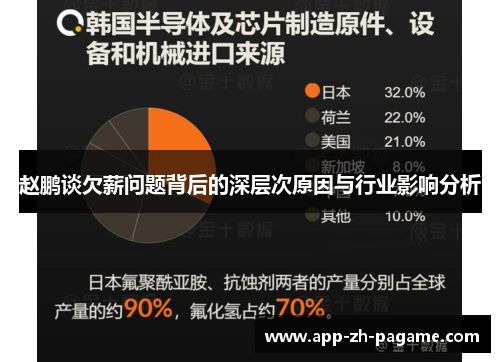 赵鹏谈欠薪问题背后的深层次原因与行业影响分析
