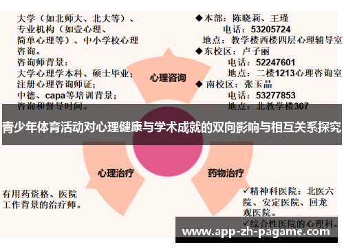 青少年体育活动对心理健康与学术成就的双向影响与相互关系探究