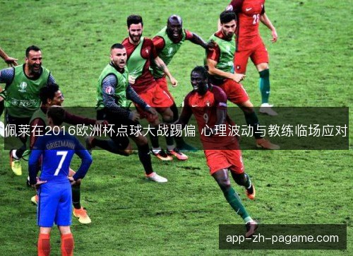 佩莱在2016欧洲杯点球大战踢偏 心理波动与教练临场应对